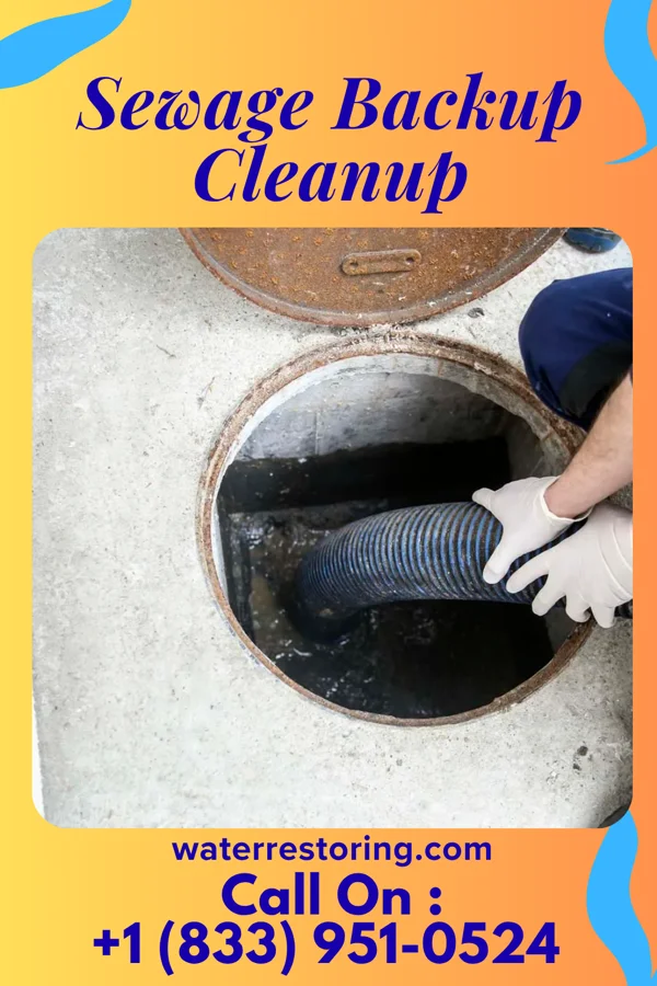 Sewage Backup Cleanup in Worthington, MO