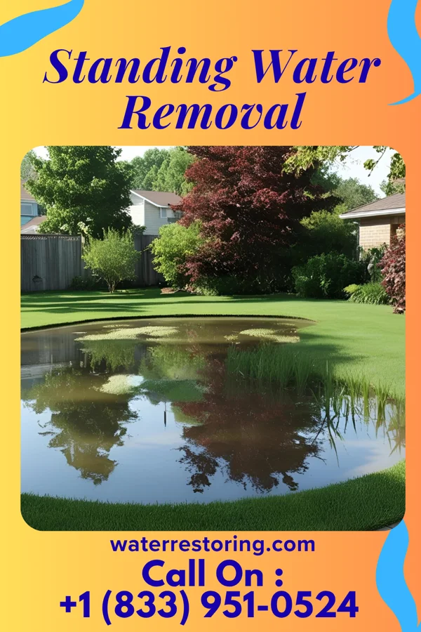 Standing Water Removal in Worthington, MO